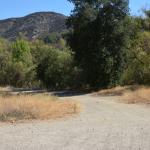 Paramount_102 (October 18, 2014)
